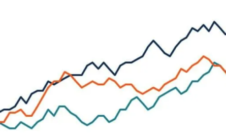 Entrepreneur Stat graph