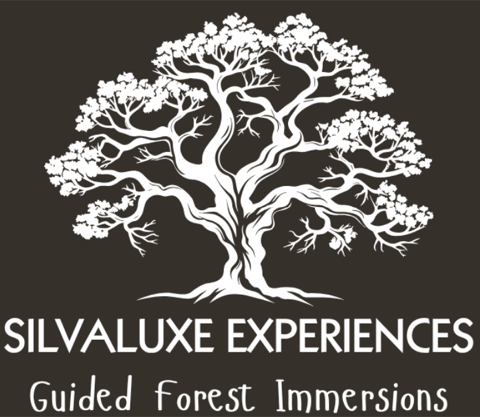 SilvaLuxe Experiences logo